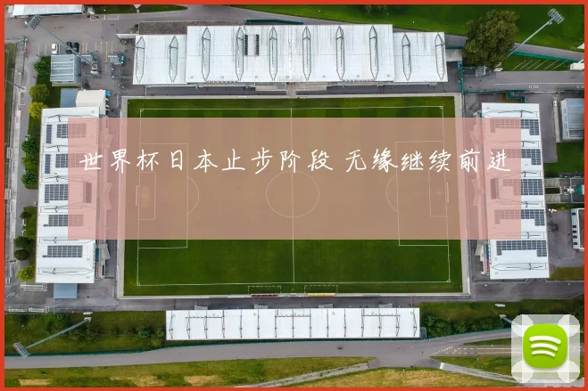 世界杯日本止步阶段 无缘继续前进