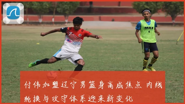 付伟加盟辽宁男篮身高成焦点 内线轮换与攻守体系迎来新变化