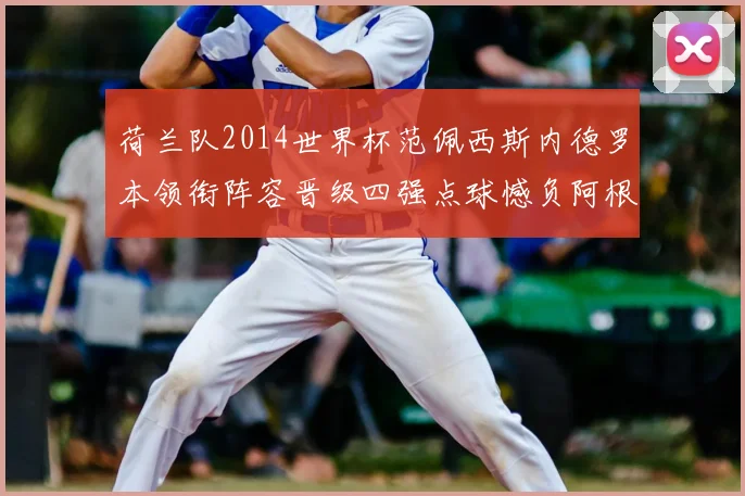 荷兰队2014世界杯范佩西斯内德罗本领衔阵容晋级四强点球憾负阿根廷